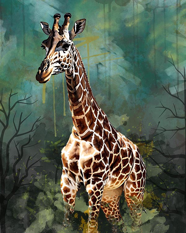 giraffe 07 522