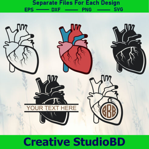Realistic Heart SVG Bundle, Anatomical Heart Svg, Cardiology Svg, Heart, Human Heart Svg, Medical school Svg, Heart Svg, cover image.