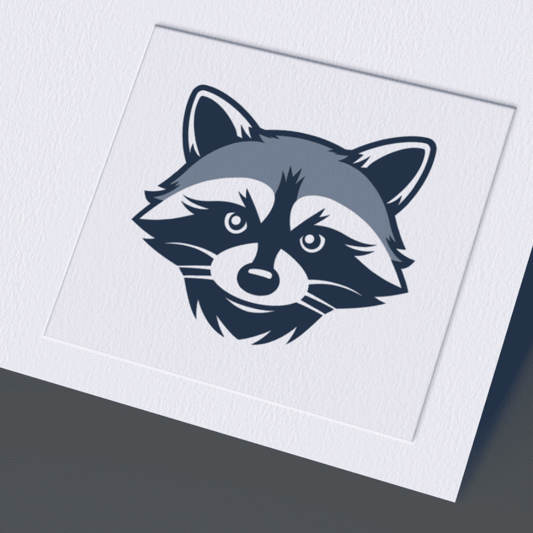 Racoon Logo cover image.