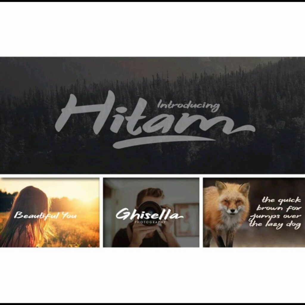 30,000 Ultimate Premium Font Collection Bundle - MasterBundles