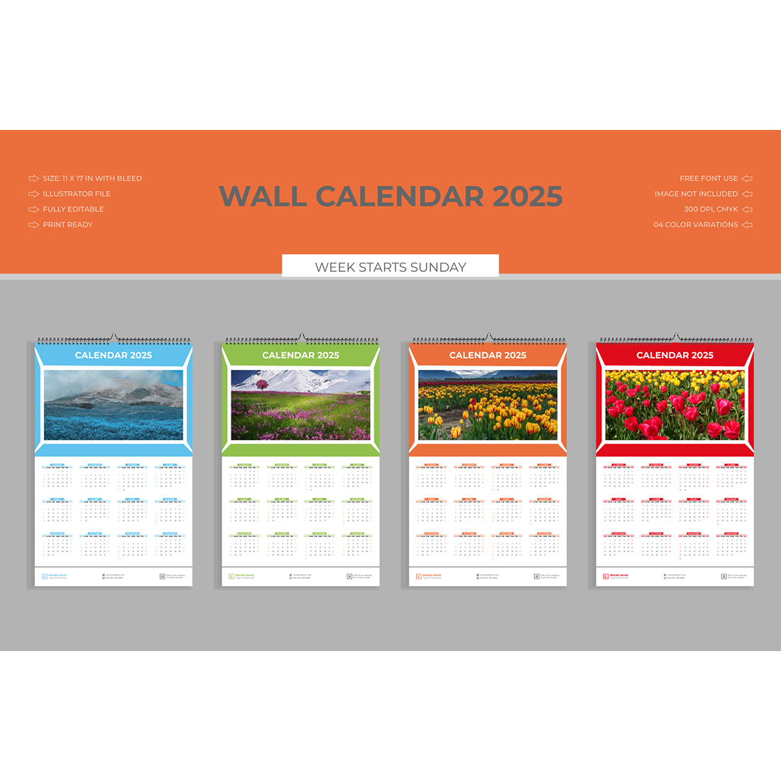 2025 Wall Calendar Design preview image.