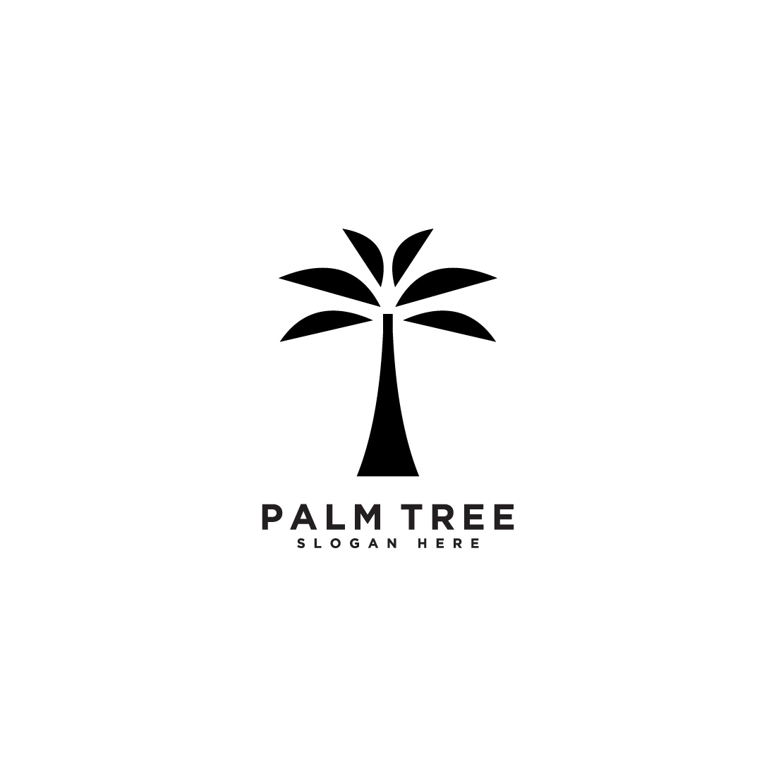 palm tree logo cover image.