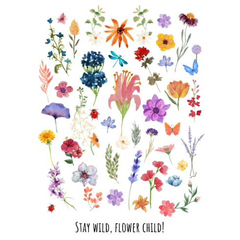 Stay Wild, Flower Child cover image.