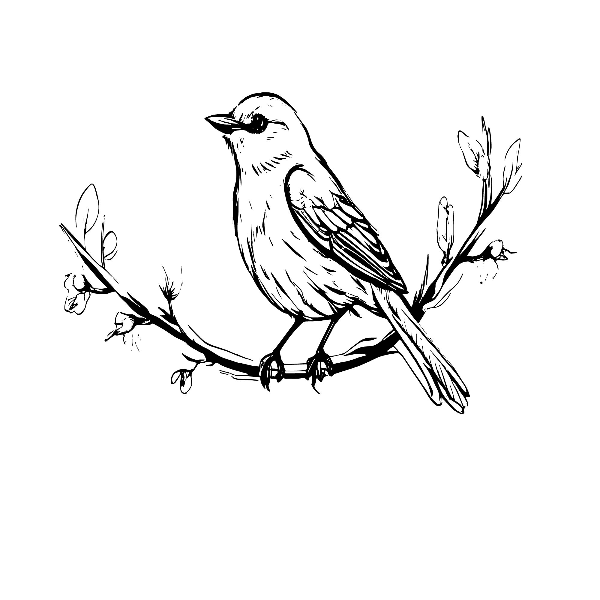 bird design logo 01 607