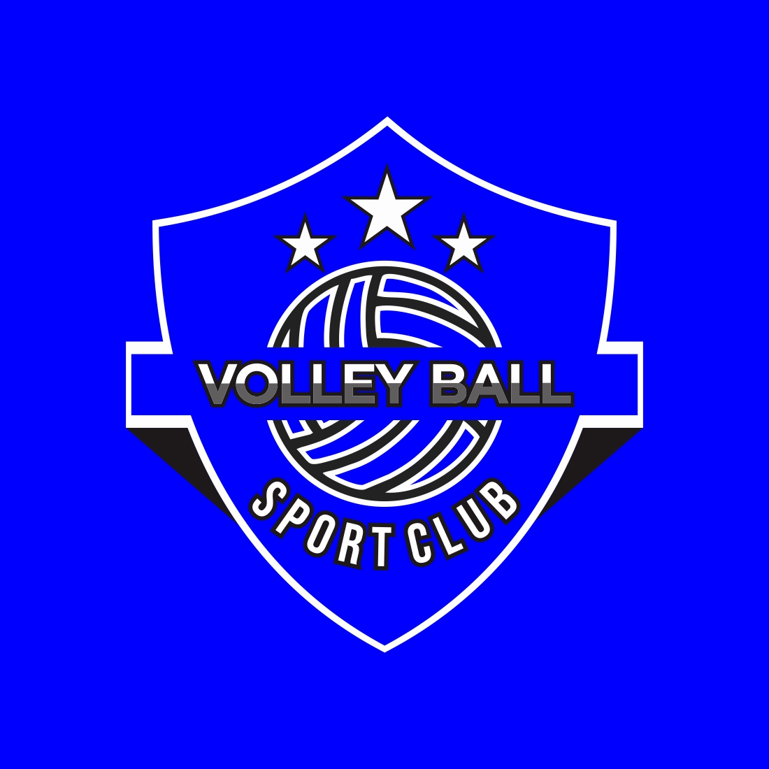 Volleyball logo design vector illustration, Emblem for volleyball club preview image.