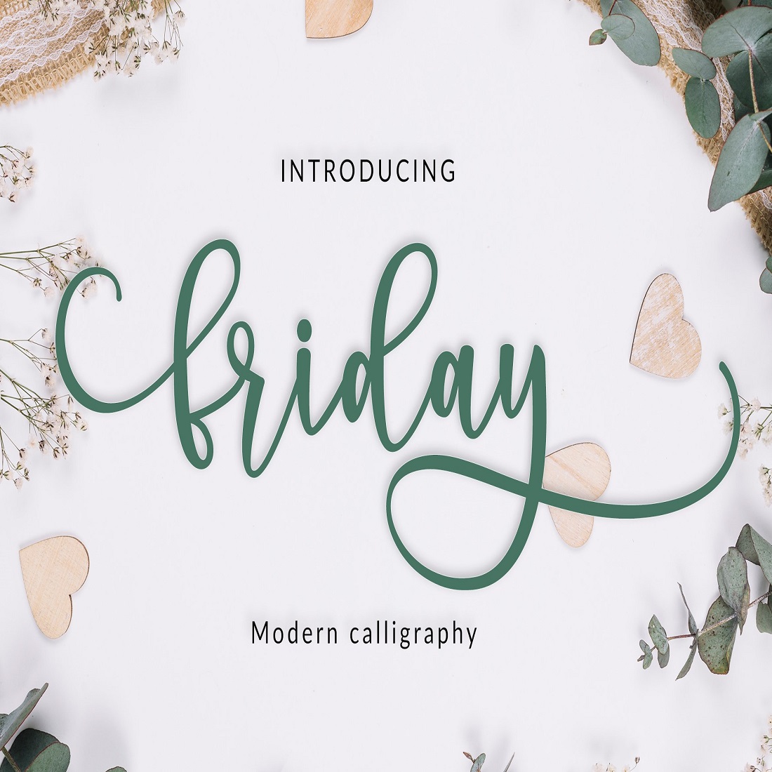Friday Script Fonts preview image.