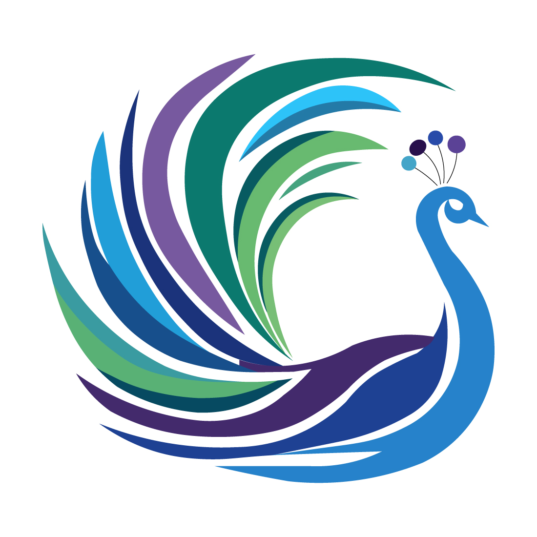 peacocks logo 34