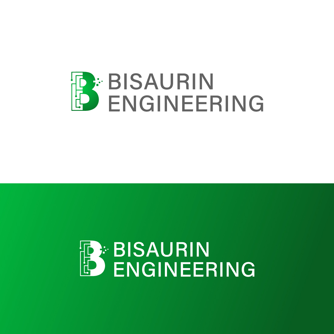 Bisaurin Engineering Logo Designs preview image.