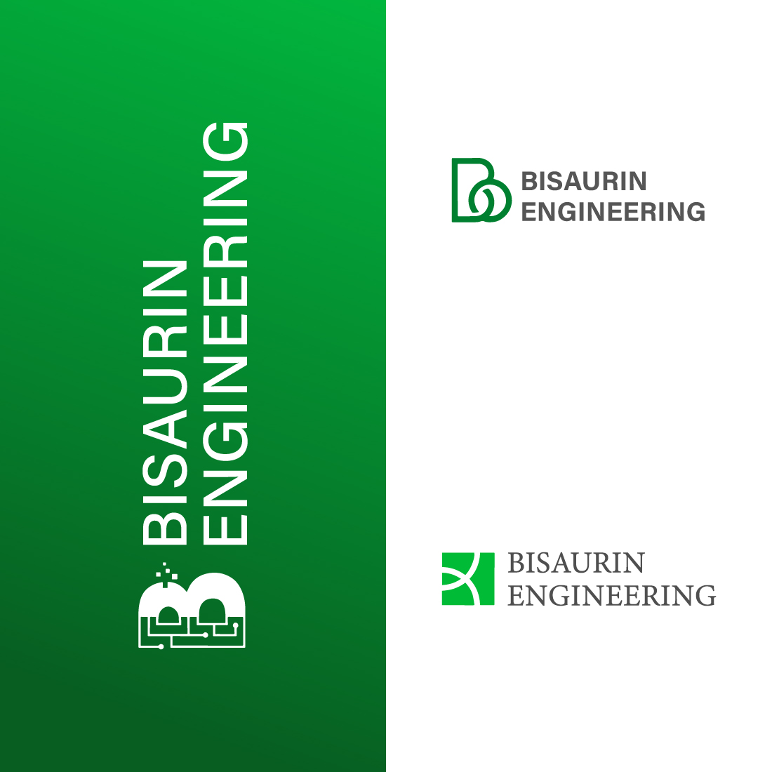 Bisaurin Engineering Logo Designs cover image.