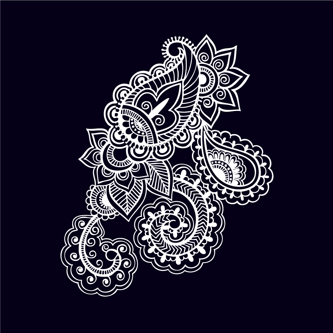 Hand Drawn Paisley Vector Design preview image.