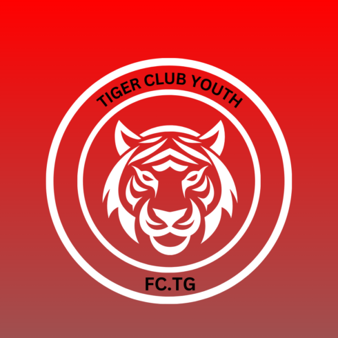 FC TIGER YOUTH cover image.