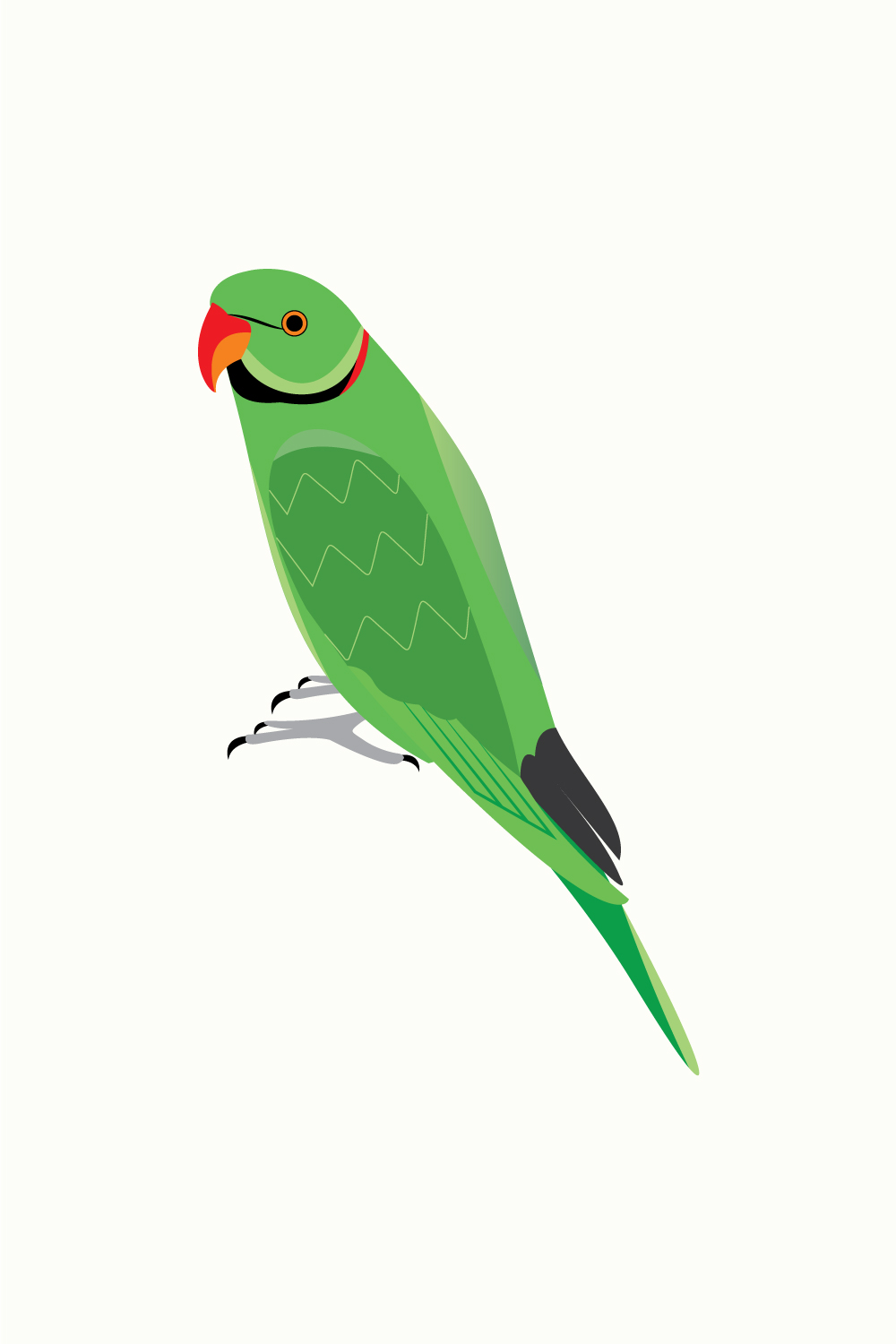 Alexandrine parakeet vector pinterest preview image.