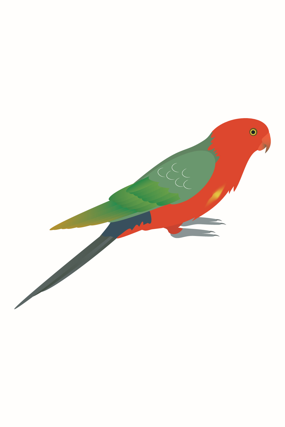 Australian king parrot vector pinterest preview image.