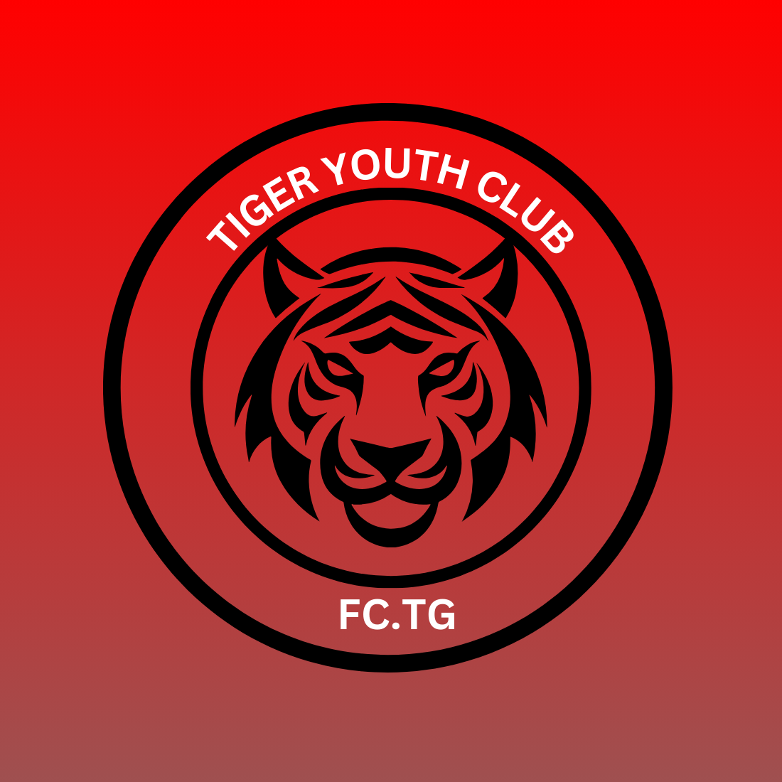 FC TIGER YOUTH preview image.