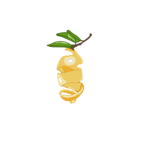 lemon peel cover image.