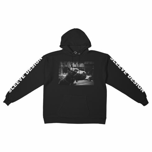 Hanes P170 Hoodie Mockup cover image.