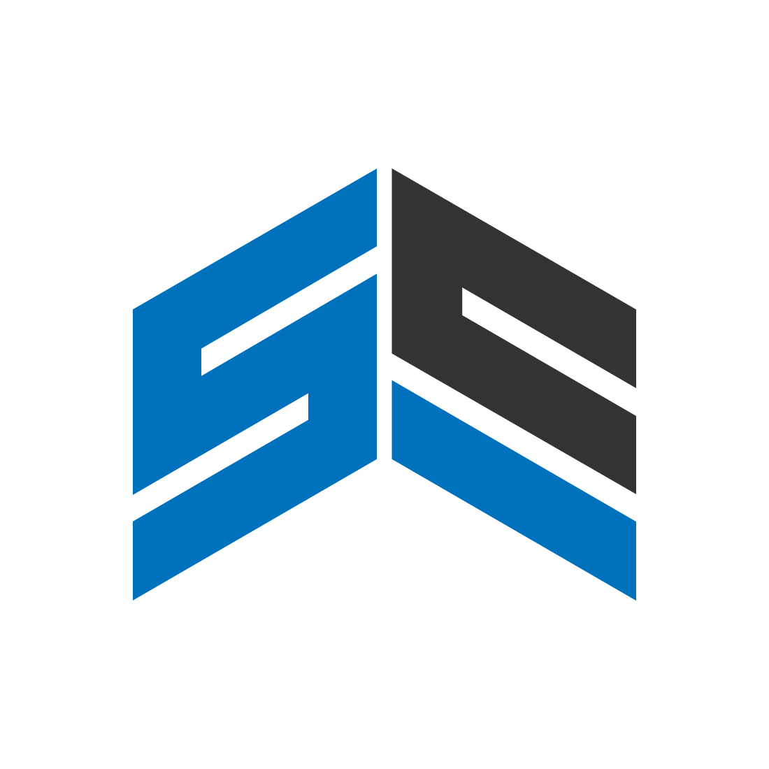 SE Letter Logo design For your Brand preview image.
