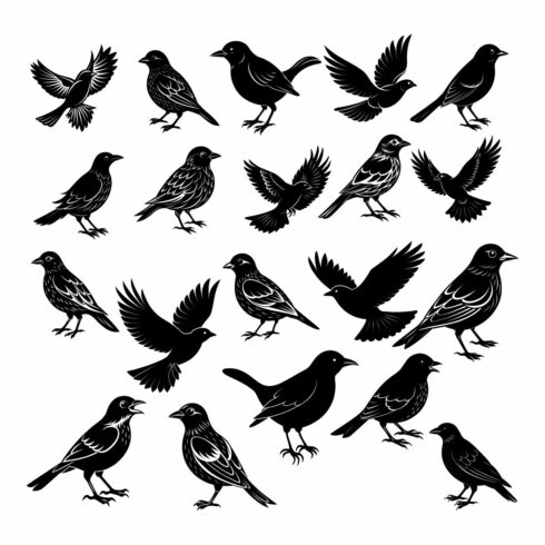 20 Elegant Bird Silhouette - High-Quality Vector Graphic for Nature & Wildlife Design Bundle cover image.