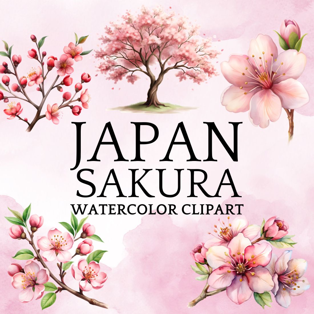 JAPAN Sakura Watercolor Clipart cover image.