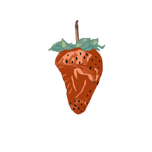 Strawberry cover image.