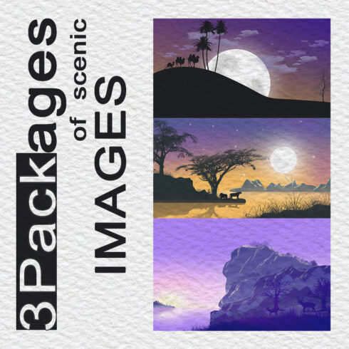 3Packages of scenic images 7$ cover image.