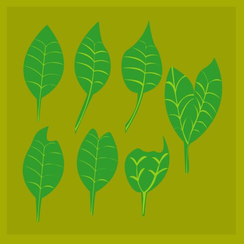 Leaf vector graphics bundle design cover image.
