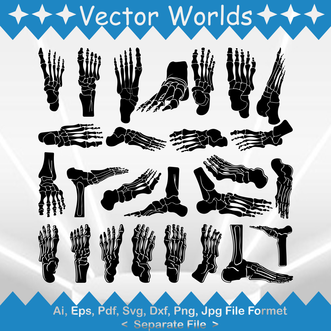 Human Foot Anatomy SVG Vector Design preview image.