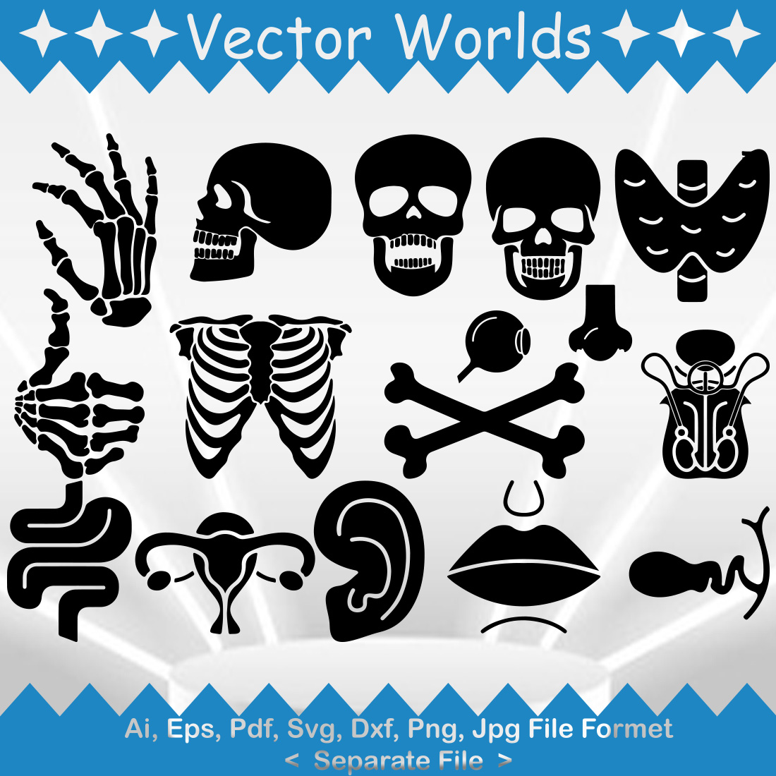 Human Anatomy SVG Vector Design preview image.