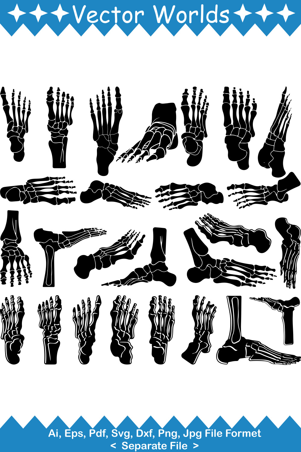 Human Foot Anatomy SVG Vector Design pinterest preview image.