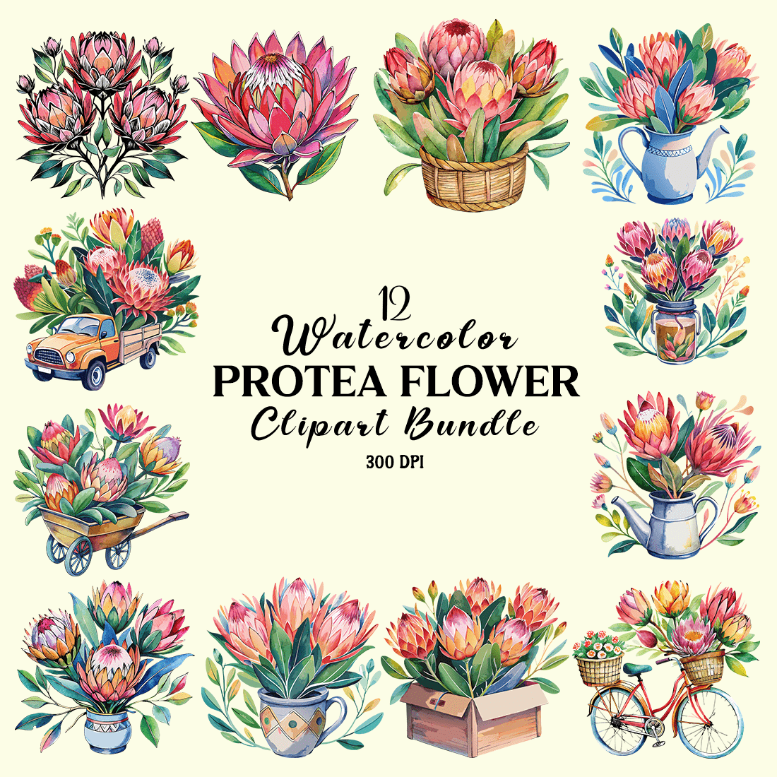 Watercolor Protea Flower Clipart Bundle cover image.