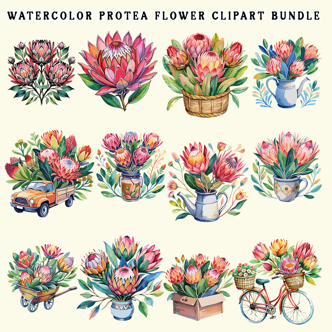 Watercolor Protea Flower Clipart Bundle preview image.