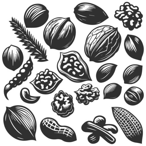 A black and white bold line and silhouette design of various nuts and seeds cover image.