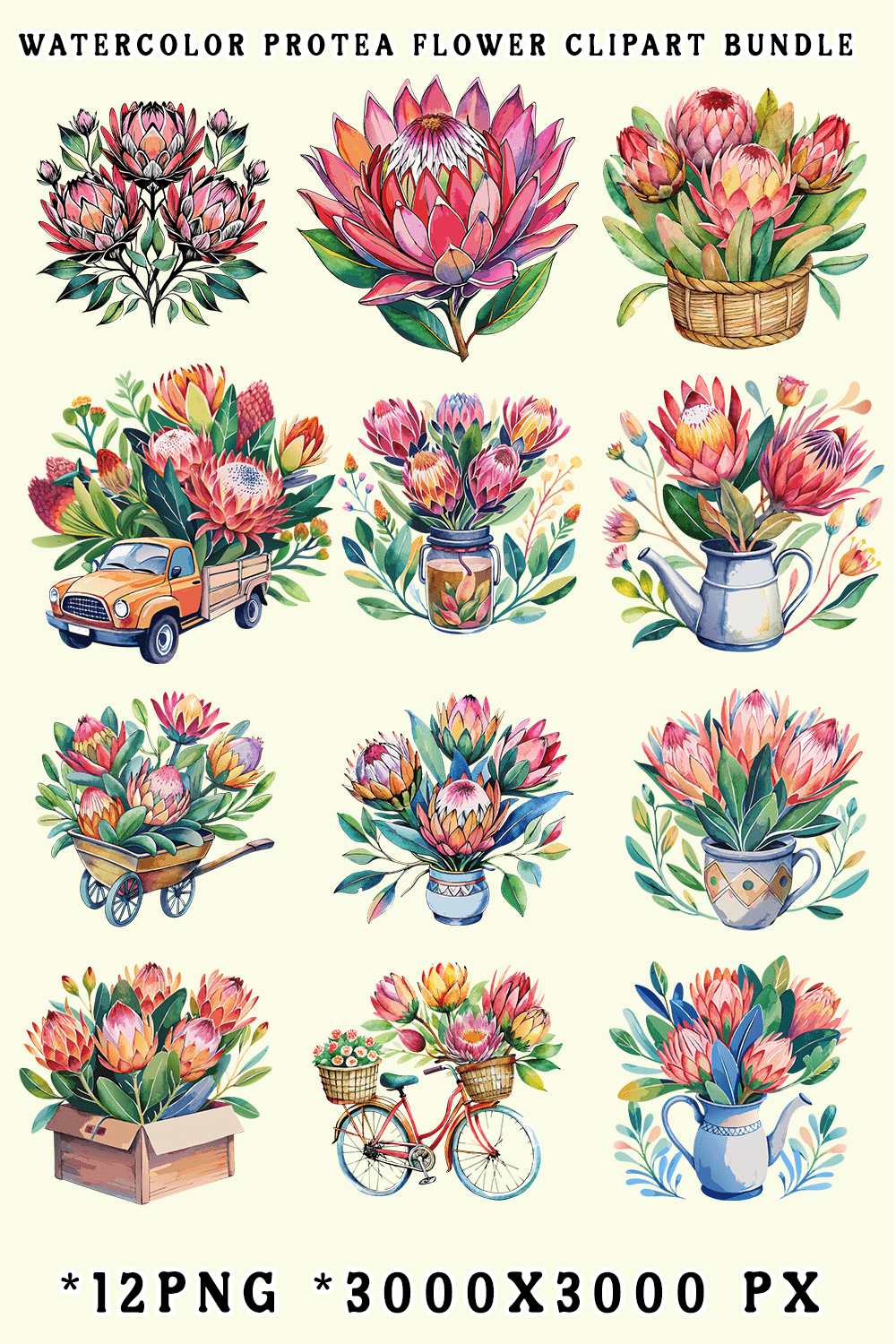 Watercolor Protea Flower Clipart Bundle pinterest preview image.