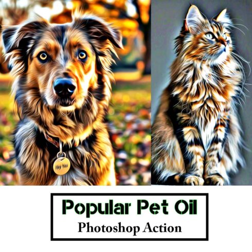 Popular Pet Oil Photoshop Action cover image.