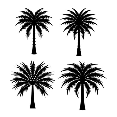 Palm Tree Illustration bundle cover image.