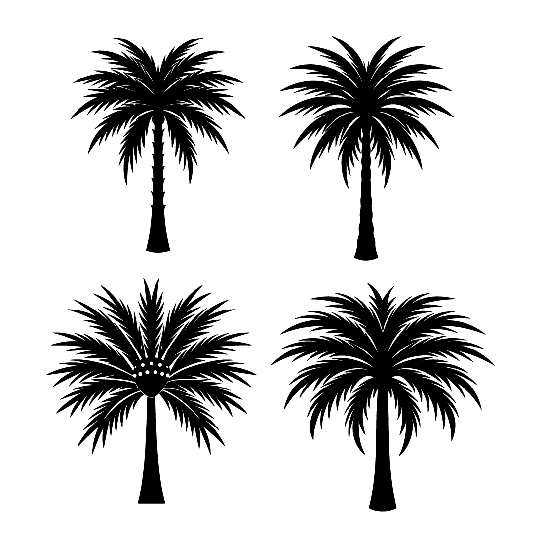 Palm Tree Illustration bundle preview image.