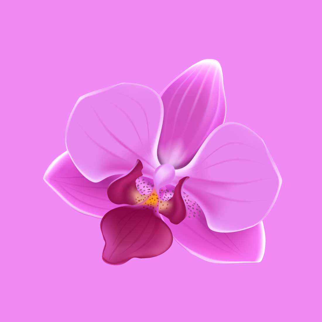 A single, vibrant pink orchid flower with a dark red center cover image.