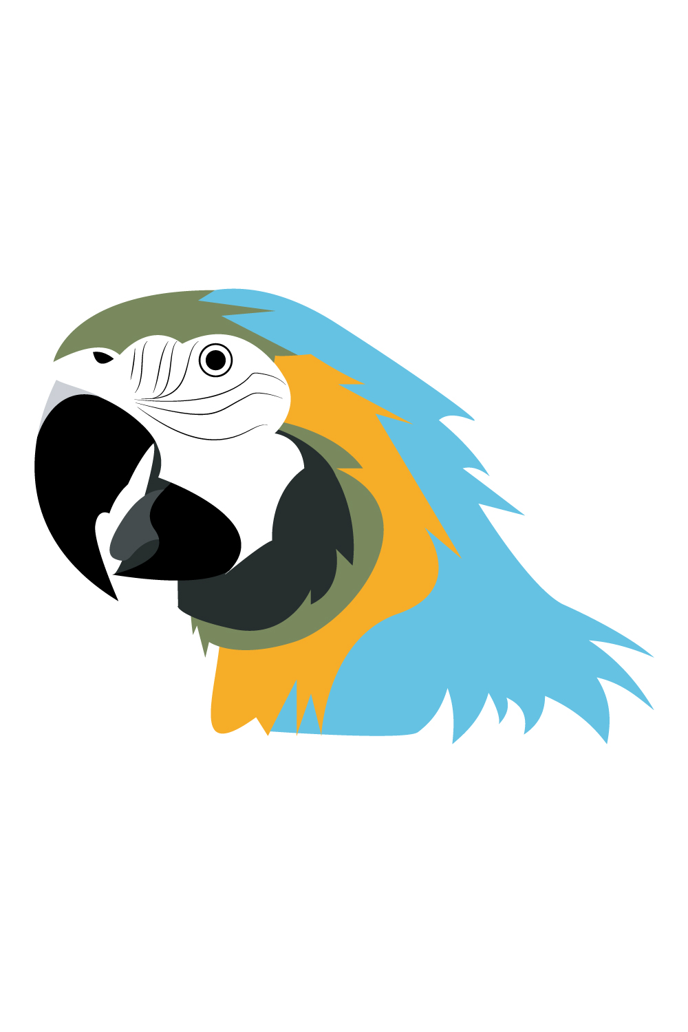 Blue-and-Gold-Macaw pinterest preview image.