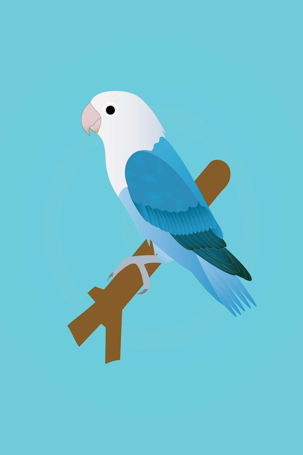 Blue quaker parrot vector pinterest preview image.