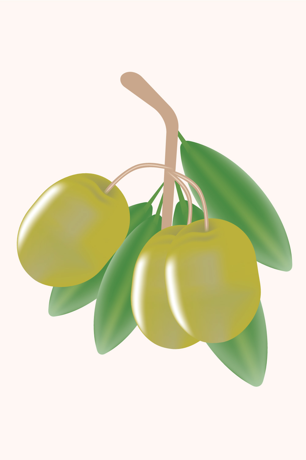 Green olive branch clipart & Vector pinterest preview image.