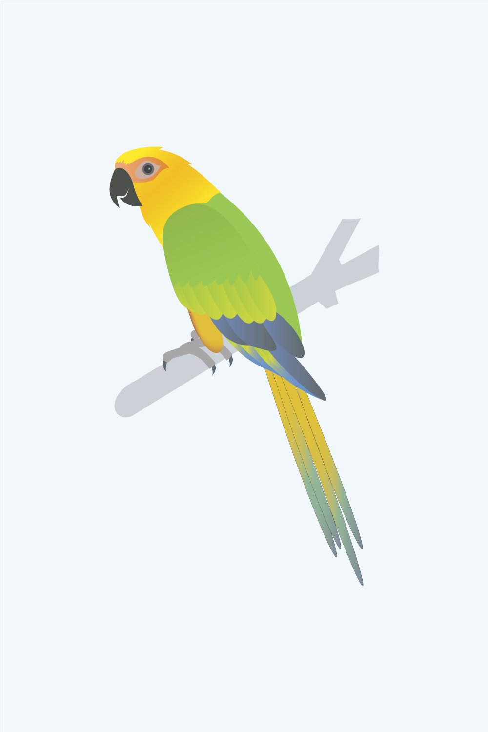 Jandaya parakeet Vector pinterest preview image.