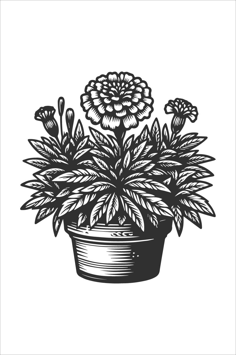 Close-up of a marigold plant in a pot bold line art design on a white background pinterest preview image.