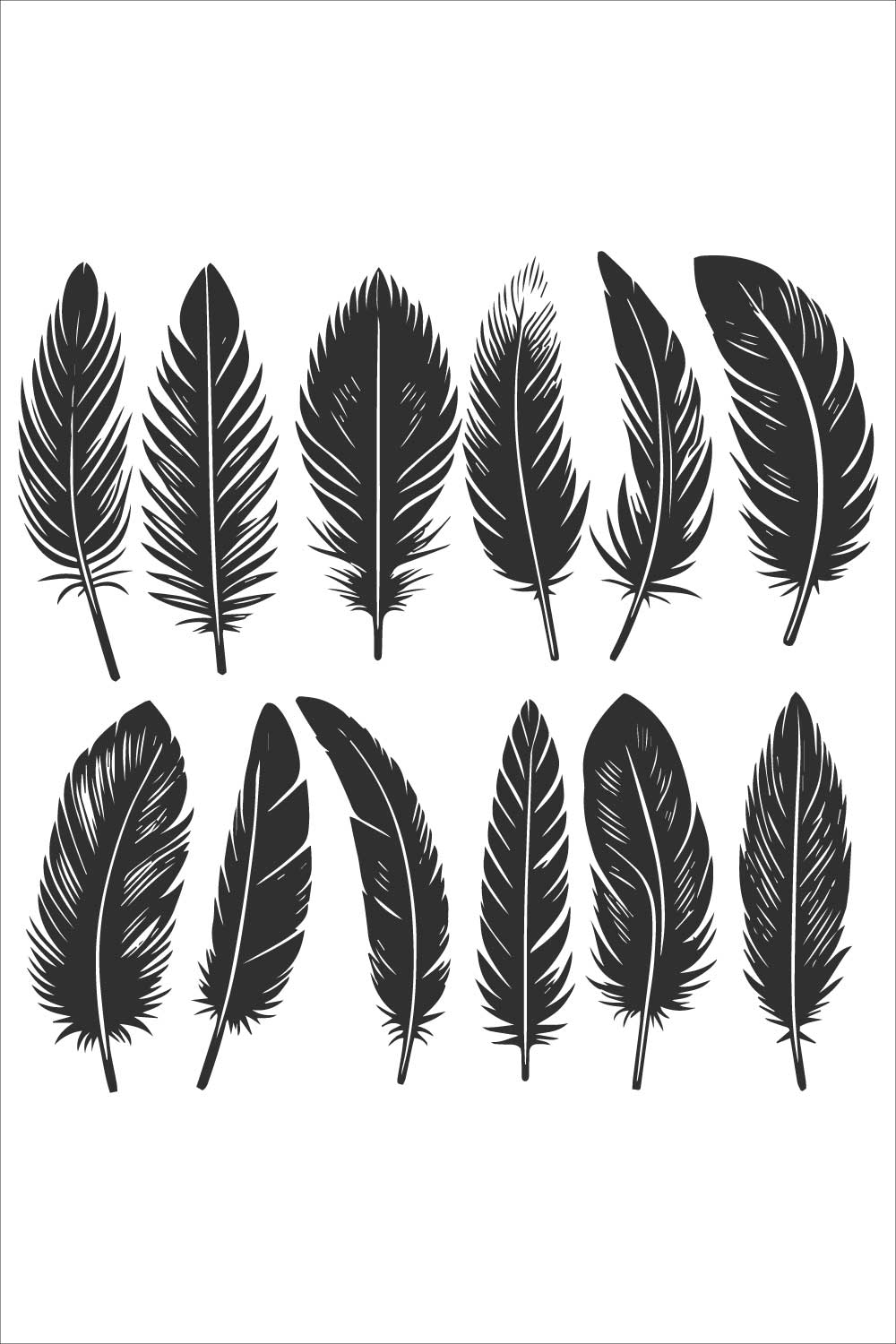 Bold line and silhouette design black and white feather collection on a white background pinterest preview image.