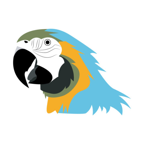 Blue-and-Gold-Macaw cover image.