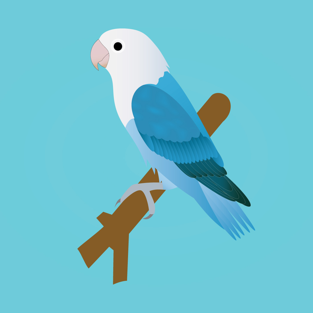 Blue quaker parrot vector preview image.