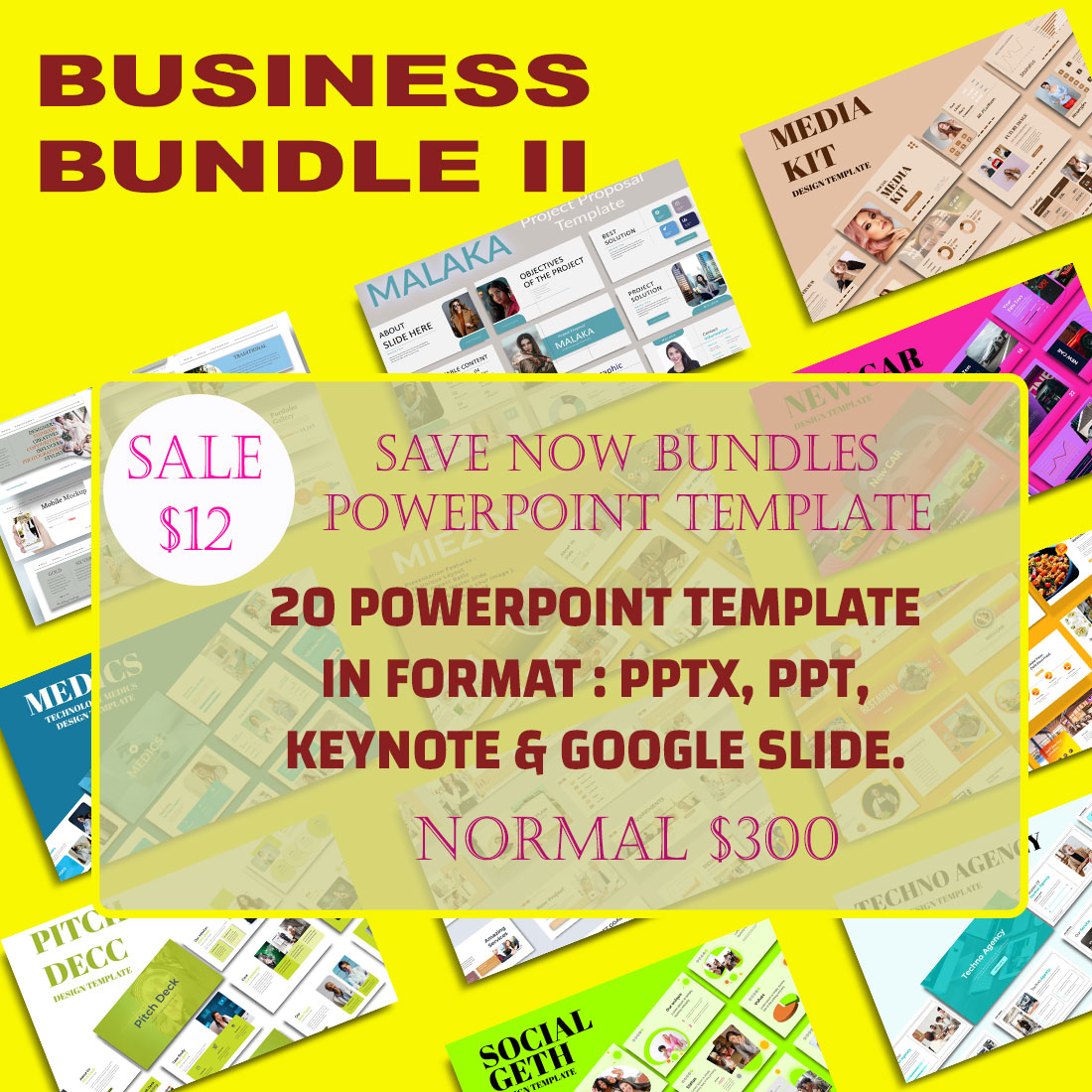 Business Bundle II cover image.