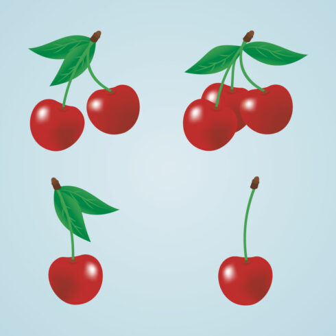 Cherry Vector cover image.