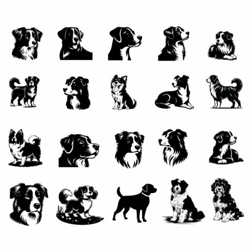 Dog vector silhouette cover image.