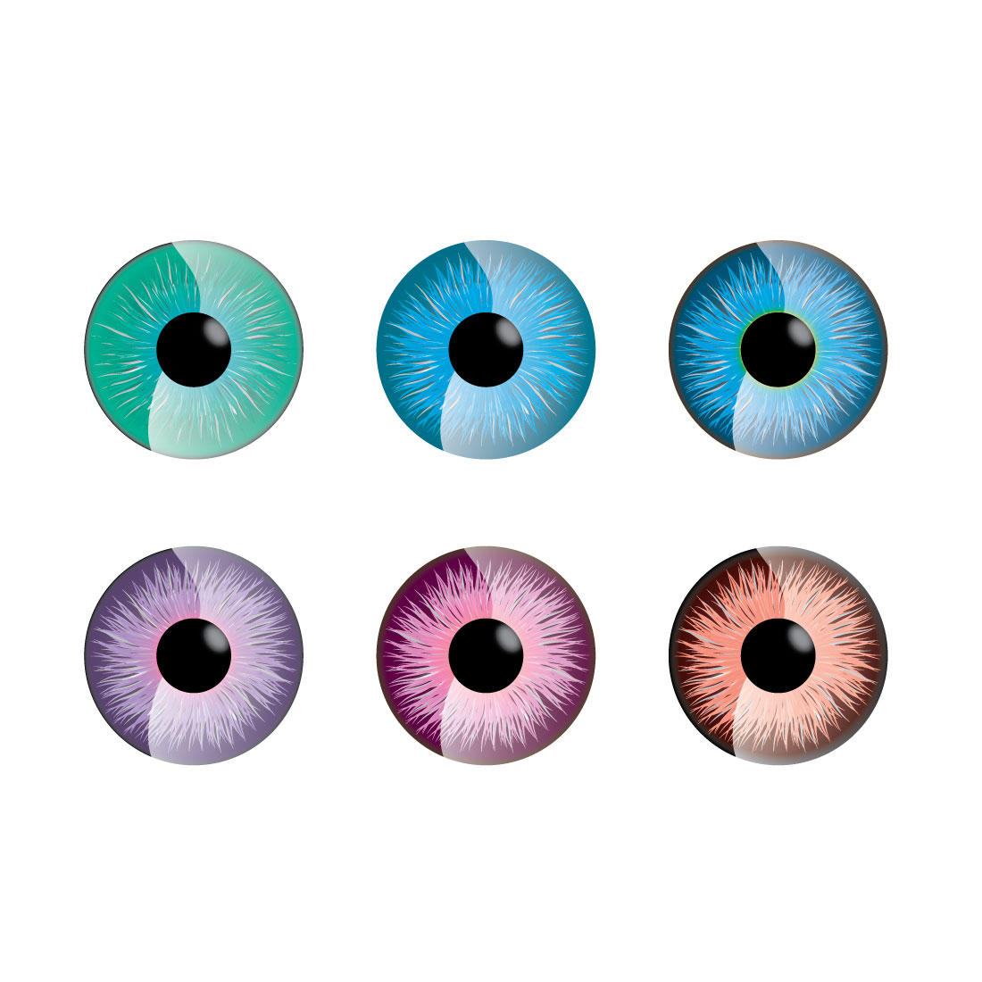 Eye Lens Bundle Vector preview image.