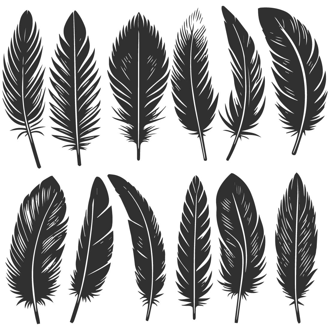 Bold line and silhouette design black and white feather collection on a white background preview image.